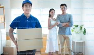 movers in dubai