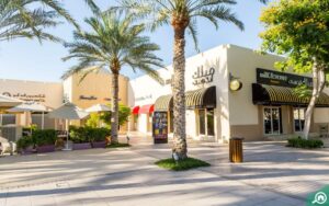 movers in Springs Dubai